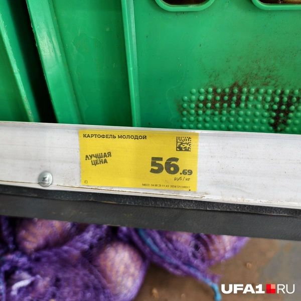 Источник: Булат Салихов / UFA1.RU