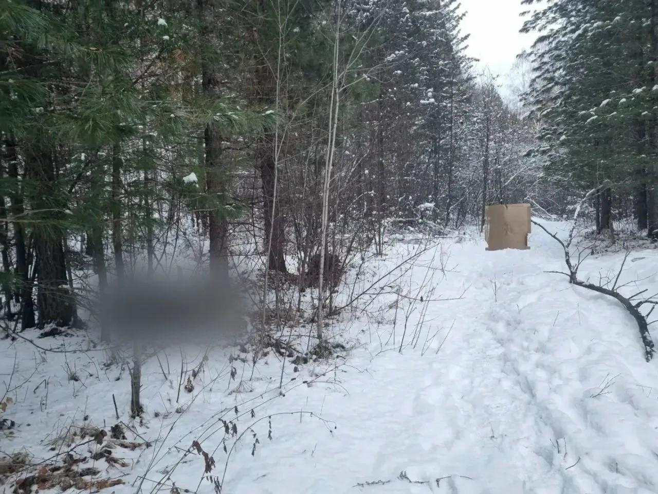Сидел в люке и стрелял в лес: СК рассказал подробности случайного убийства человека в нижнеудинском…