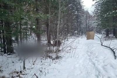 Охотник случайно застрелил человека в лесу под Нижнеудинском