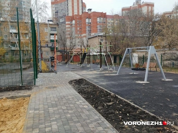 Источник: Дмитрий Волгин / Voronezh1.ru