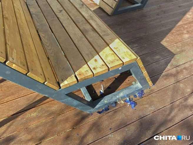 Источник: Любовь Никитина / CHITA.RU