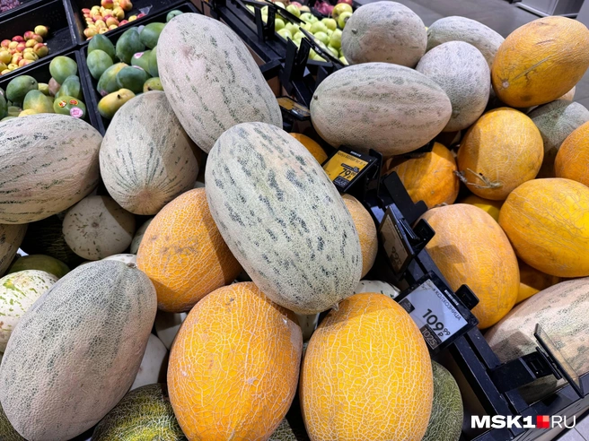 Дыни в магазинах — на любой вкус | Источник: Дмитрий Толстошеев / MSK1.RU