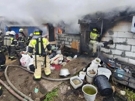 200 чихуахуа погибли при пожаре в Нижнем Новгороде — жуткие кадры