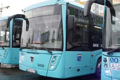 Из Петербурга в Янино запустили большие автобусы