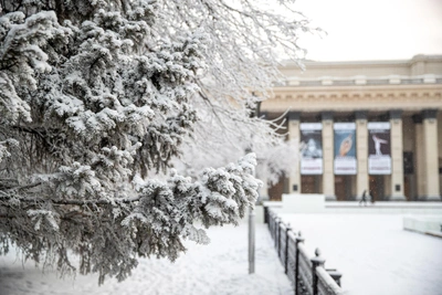 First week of February weather in Novosibirsk: -23°C to 0°C