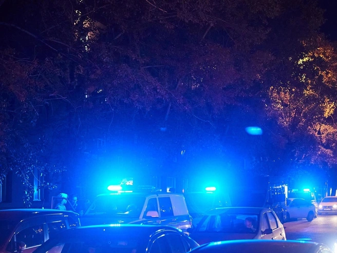 Житель Парголово признался в убийстве и попытался покончить с собой | Источник: NGS.ru