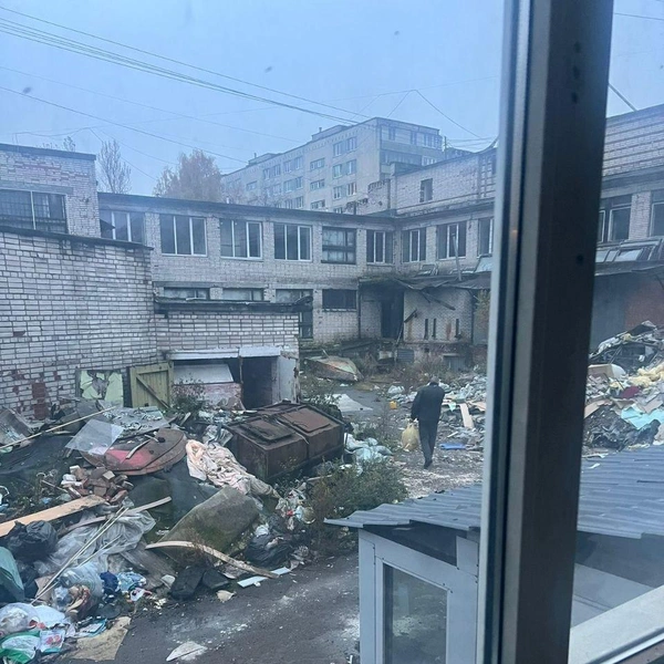 Источник: приют «Новый дом»