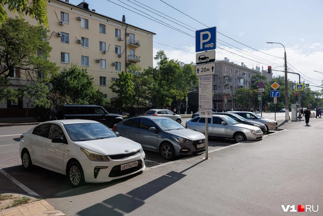 Бесплатно стоять можно, но ограниченному списку льготников, включенных в реестр | Источник: Алексей Волхонский / V1.RU