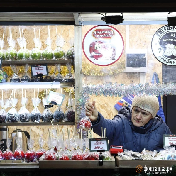 Источник: Марина Мамонтова/FONTANKA.RU