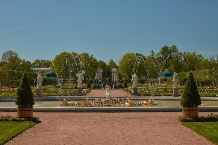 В Петергофе открылся после реставрации Верхний сад