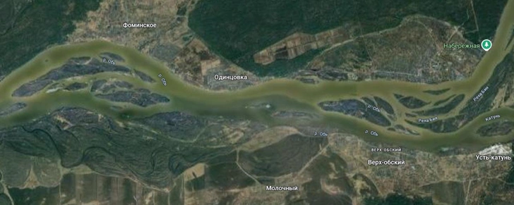 Вид со спутника на исток Оби. На снимке хорошо различима разница в цвете воды Бии и Катуни | Источник: Google Maps