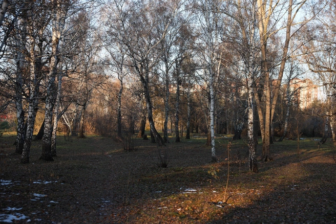 Ясный вечер и красный закат в этот день — к сильным утренним морозам | Источник: Евгений Софийчук / NGS55.RU