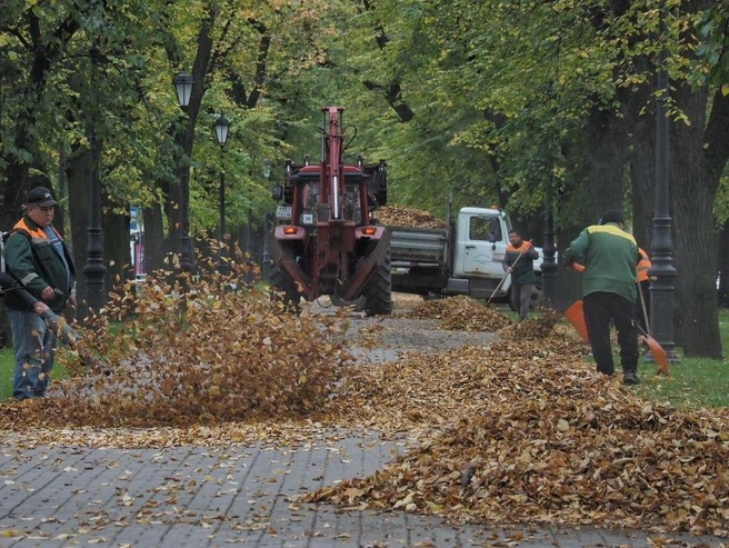 Циклон принесет дожди в Петербург и тепло в Москву | Источник: Михаил Огнев / «Фонтанка.ру»