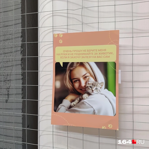 Источник: Сергей Гендин / 164.RU