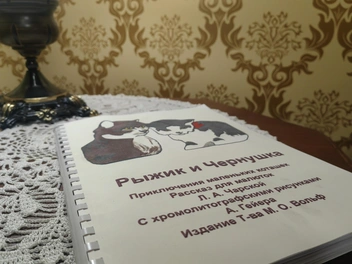 Книги с выпуклыми иллюстрациями и шрифтом | Источник: Кристина Мельникова / YA62.RU