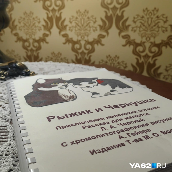 Источник: Кристина Мельникова / YA62.RU