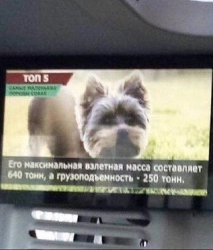 20 картинок недели и лечебная стрельба