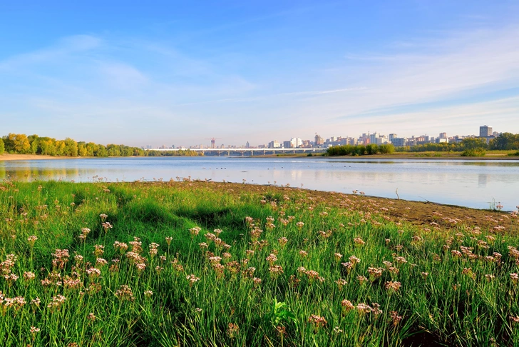Великая река Сибири: откуда, куда и как течет Обь | Источник: Arh-sib/Shutterstock/Fotodom.ru