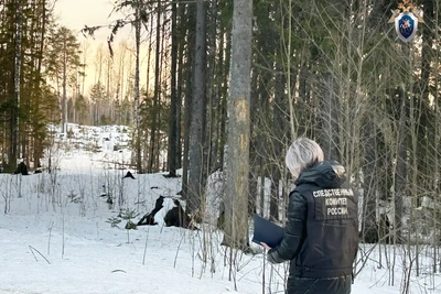 СК проверяет обстоятельства гибели мужчины на Онежском озере