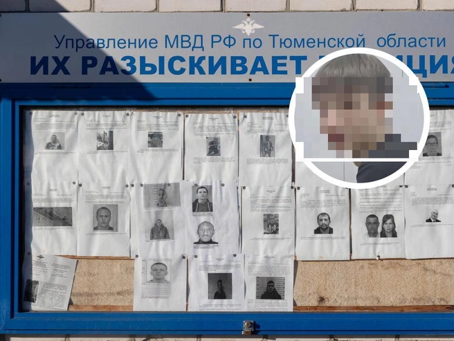 Юноша отсутствовал дома в течение нескольких суток | Источник: Ирина Шарова/ 72.RU