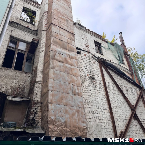 Сквозь крышу прорастают деревья | Источник: Дмитрий Толстошеев / MSK1.RU