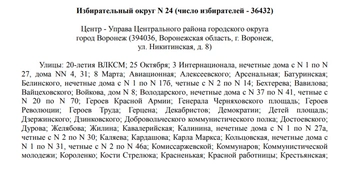 Источник: избирательная комиссия Воронежской области / Voronezh.izbirkom.ru