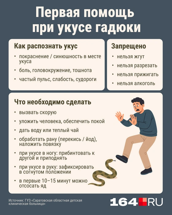 Источник: Серафима Пантыкина / Городские медиа