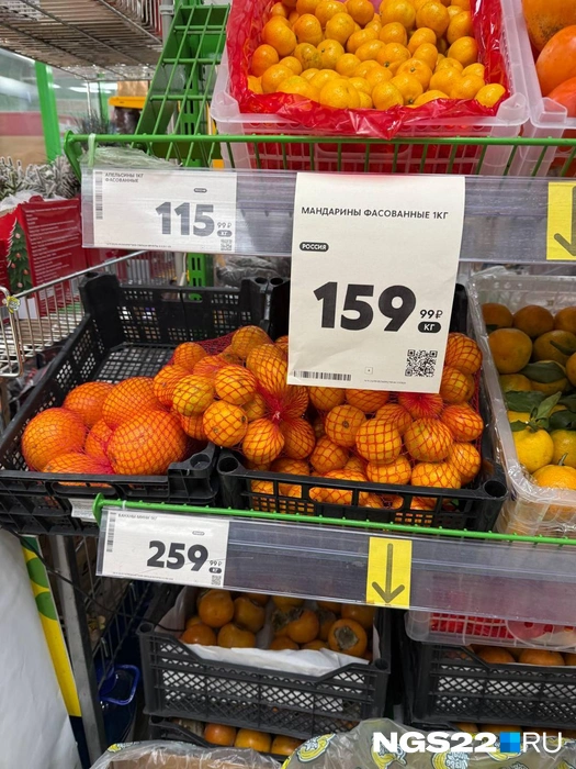 Источник: Полина Шевчукова / NGS22.RU