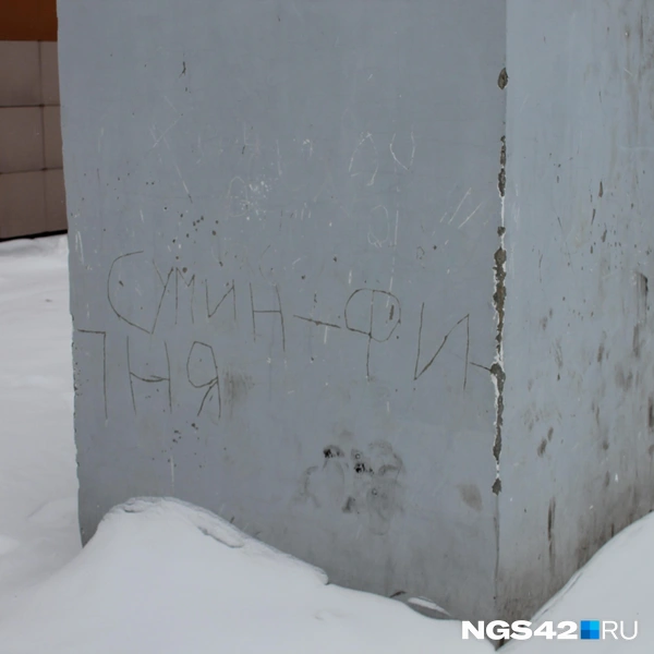 Подростки поспешили оставить автографы | Источник: Елена Гуськова / NGS42.RU