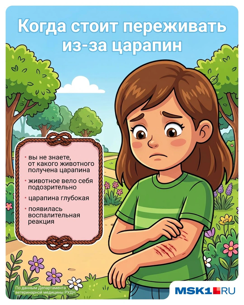 Из-за этого стоит обратиться к врачу | Источник: Евгения Бикунова / Городские медиа