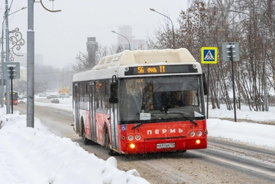 Автобусы пустят по новой части улицы Крисанова