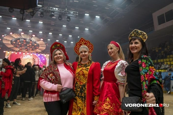 Источник: Дмитрий Волгин / Voronezh1.ru