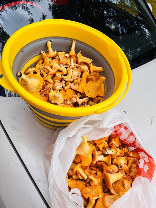 Район Арейского  | Источник: Анечка Denisova / VK