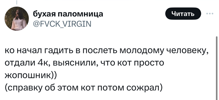 В «Твиттере» делятся тупыми причинами, по которым возили животных в ветеринарные клиники. И это уморительно!