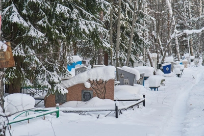 Южное кладбище в Новосибирске переполнится к осени