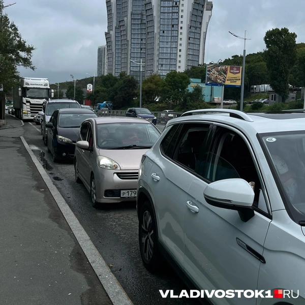 Источник: Елена Буйвол / VLADIVOSTOK1.RU