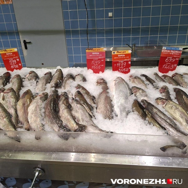 Источник: Алёна Воропаева / Voronezh1.ru