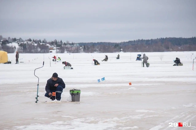 Источник: Иван Митюшёв / 29.RU