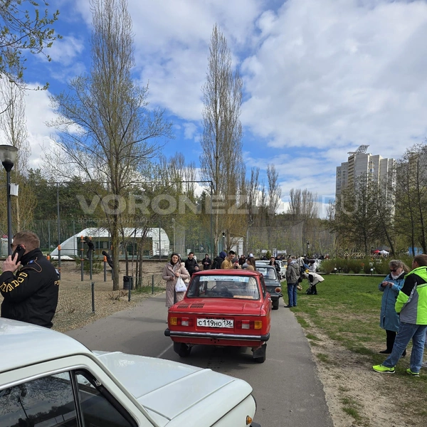 Источник: Читатель Voronezh1.ru