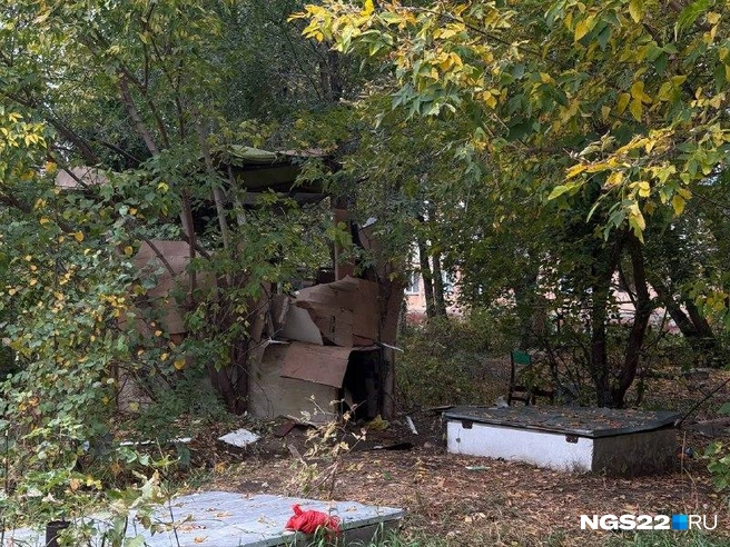 Своеобразный домик на дереве | Источник: Полина Шевчукова / NGS22.RU