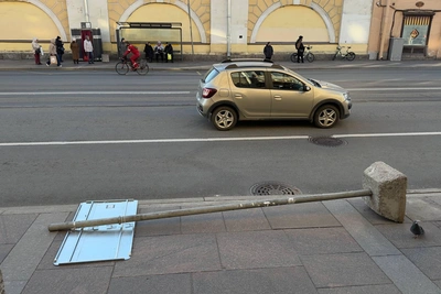 В Петербурге ветер повалил 53 дерева и повредил остановки