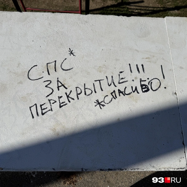 Художники уже поблагодарили чиновников за чистый лист | Источник: Валерия Дульская / 93.RU