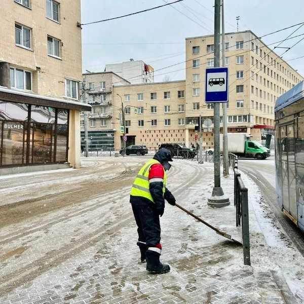 Источник: Комитет по благоустройству Петербурга