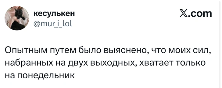 Источник: X (Twitter)