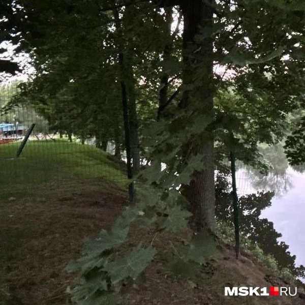 Часть территории парка, откуда можно было спуститься к воде, огородили | Источник: читательница MSK1.RU
