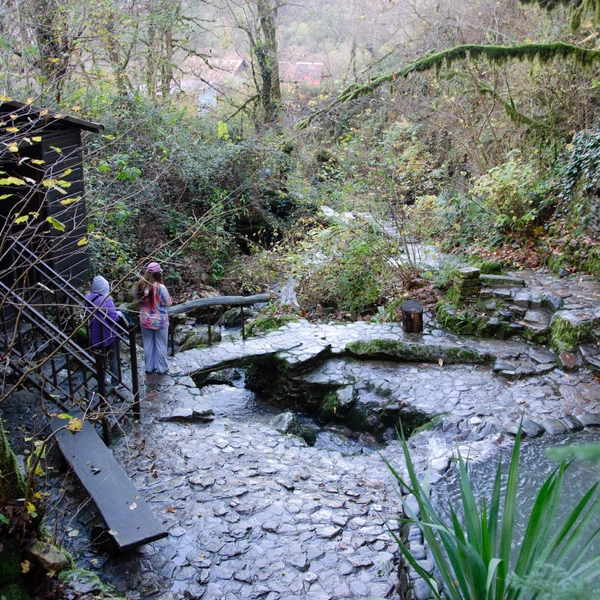 Источник: Оксана Витязь / SOCHI1.RU