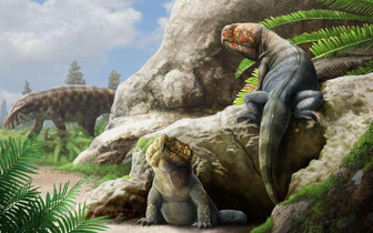 Динозавр с Дикого запада: посмотрите на ящера с клювом, которого не смогли классифицировать ученые