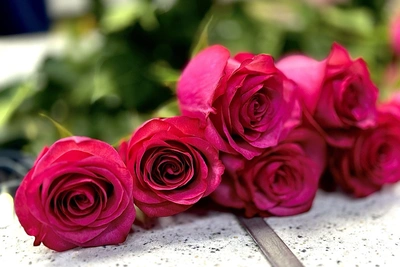 Цветы к 8 Марта в Якутии самые дорогие в стране