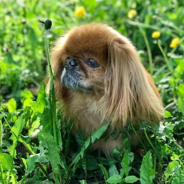 Источник: Илья Мартышенко