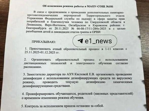 Документ, регламентирующий переход на удалённое обучение | Источник: читатель E1.RU
